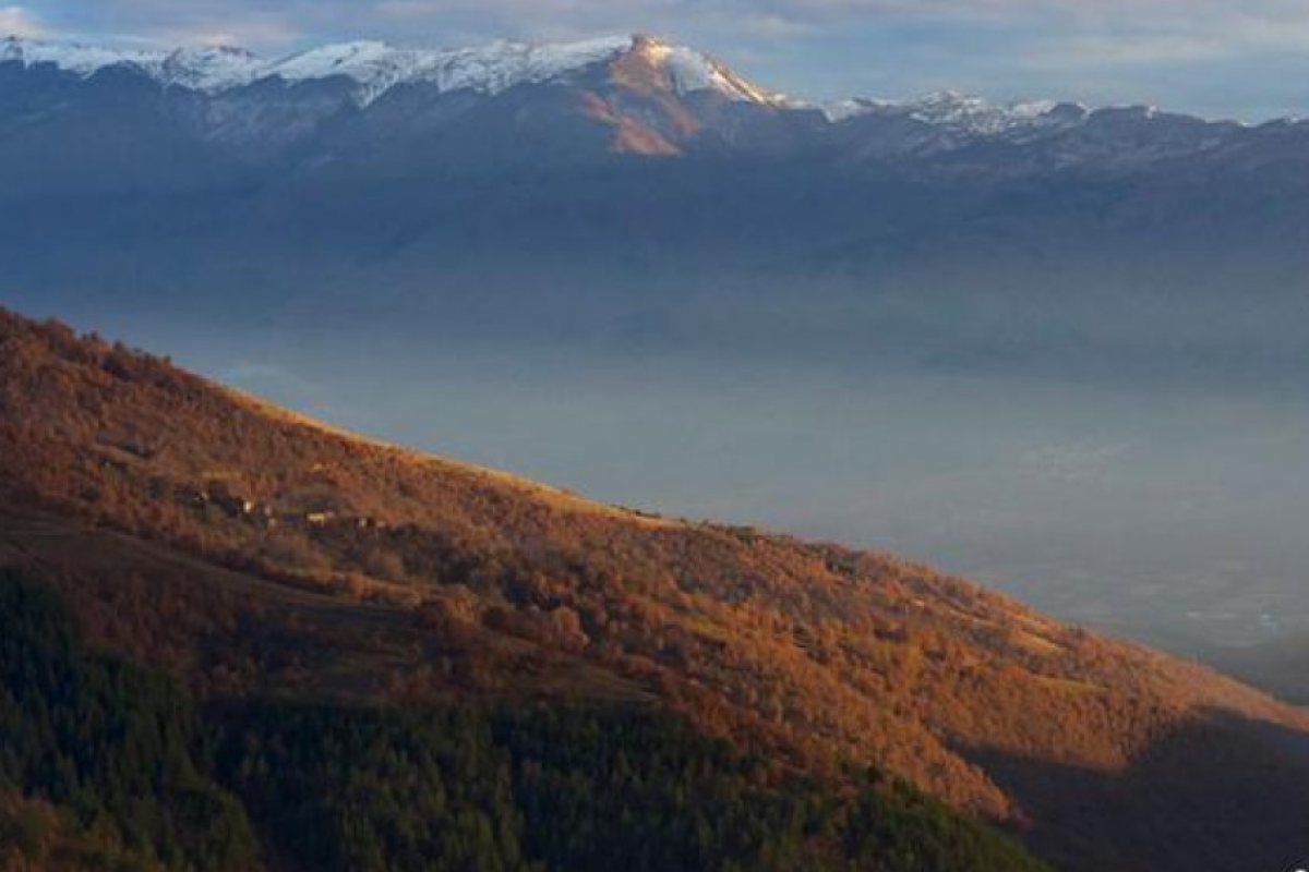 Британецът, който обича всичко в България