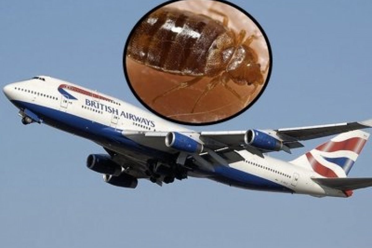 Пътници на British airways бяха нахапани от дървеници
