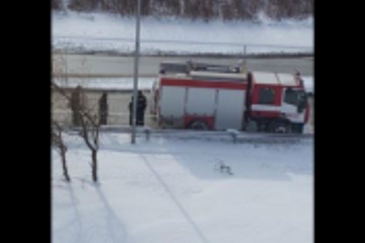 Една история, която трогна хиляди български сърца