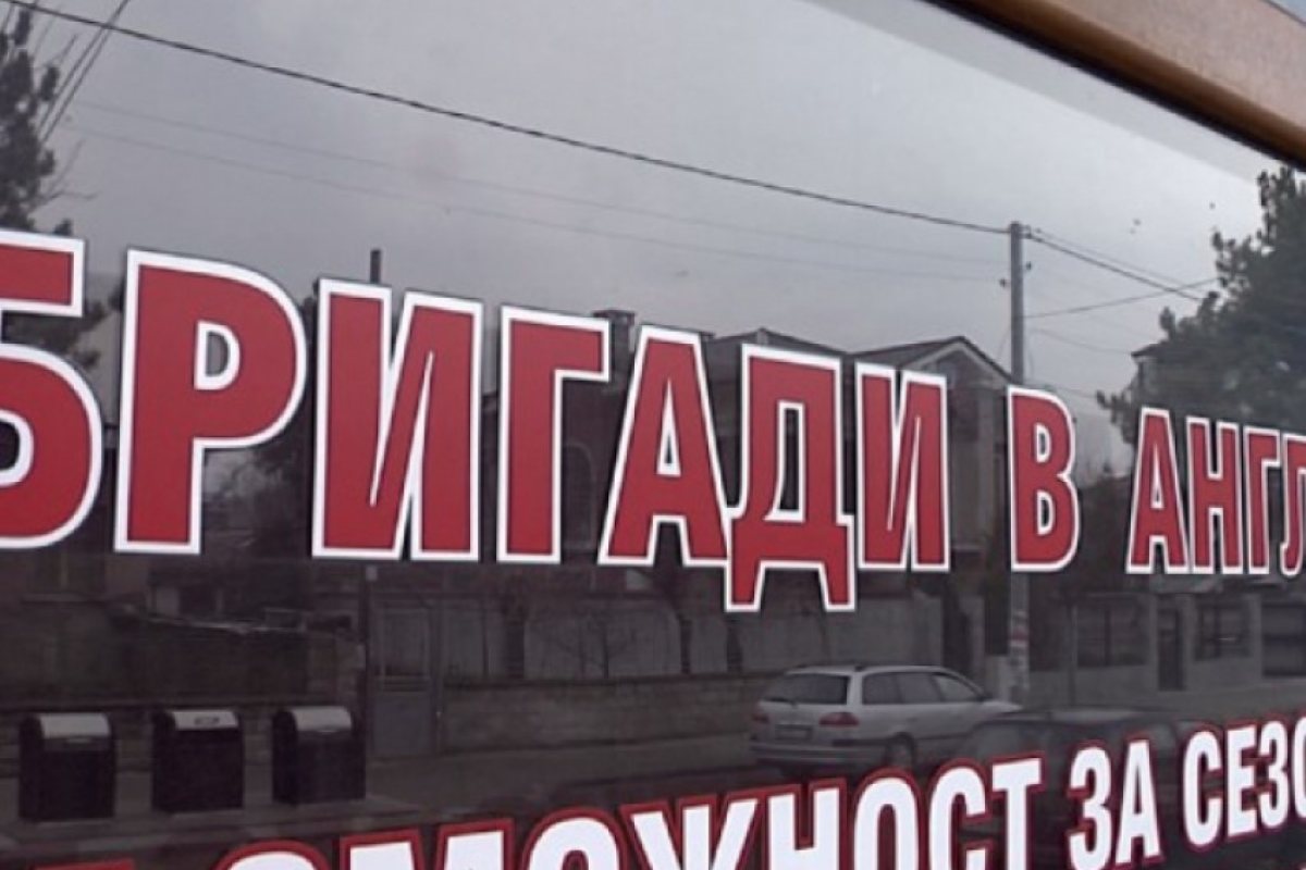 Отнемат лиценза на фирмата, изпратила нашенците да берат цветя на Острова