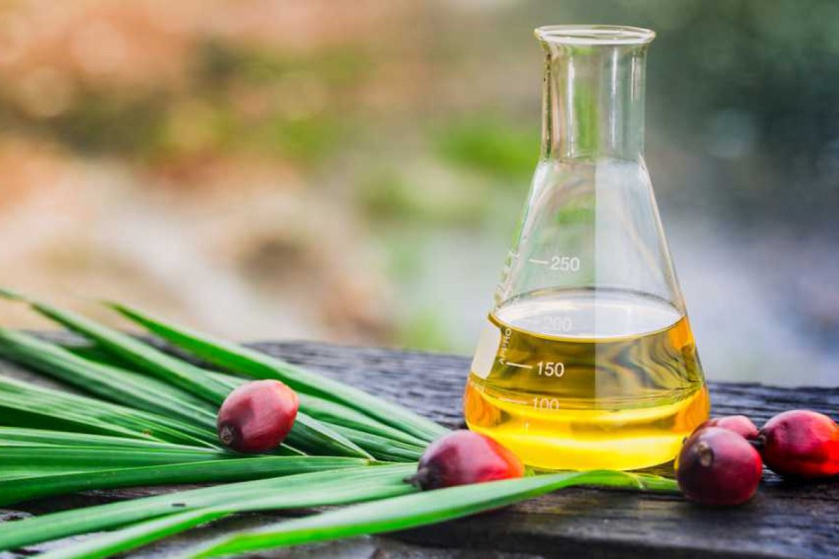 Британски супермаркети спират продажба на продуктите с палмово масло