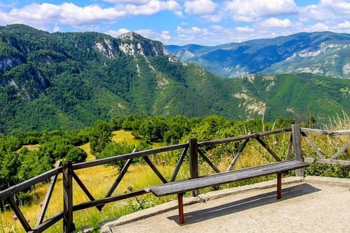 Струва ли си да се върна в България?