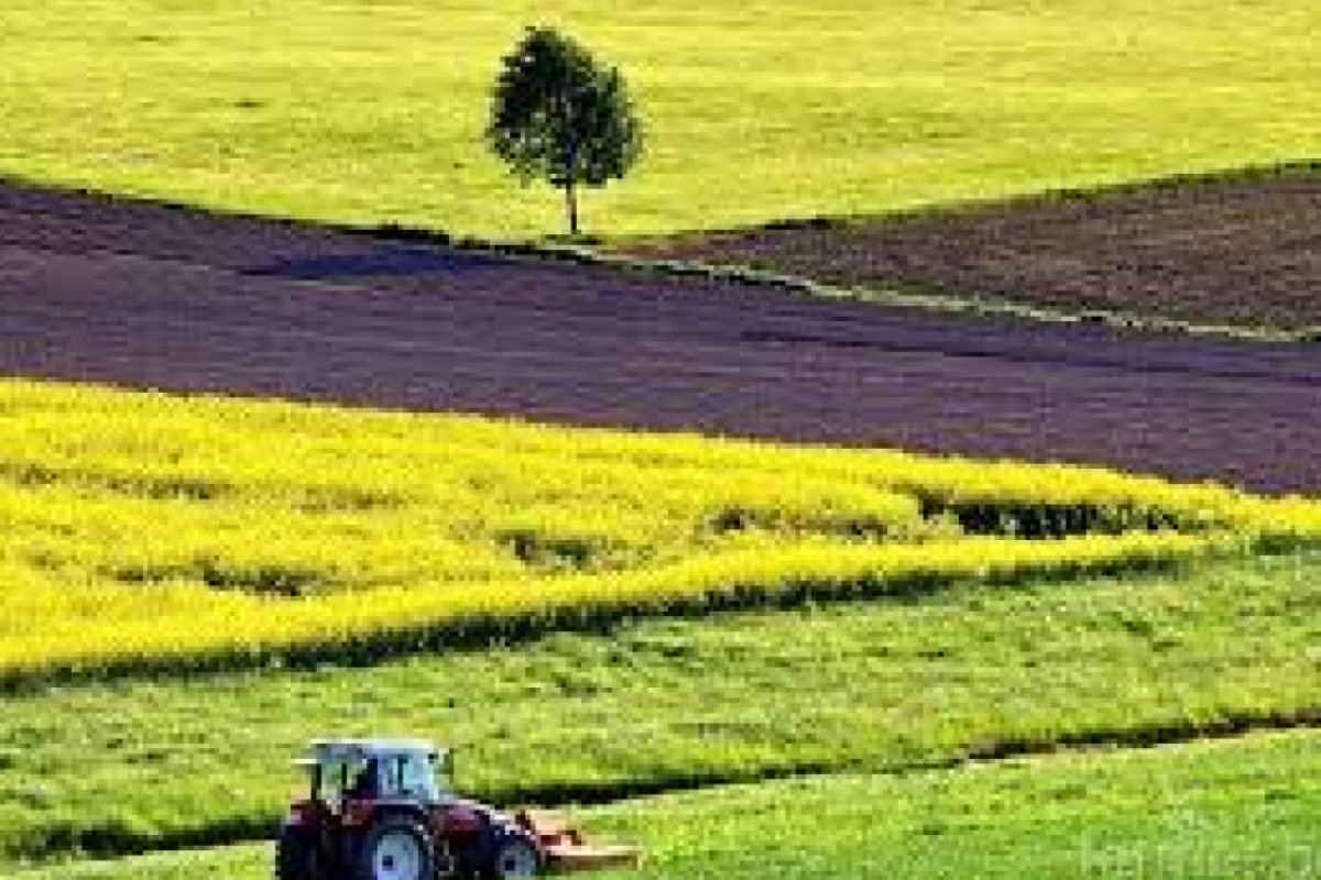 Без субсидии и без източноевропейци те ще фалират