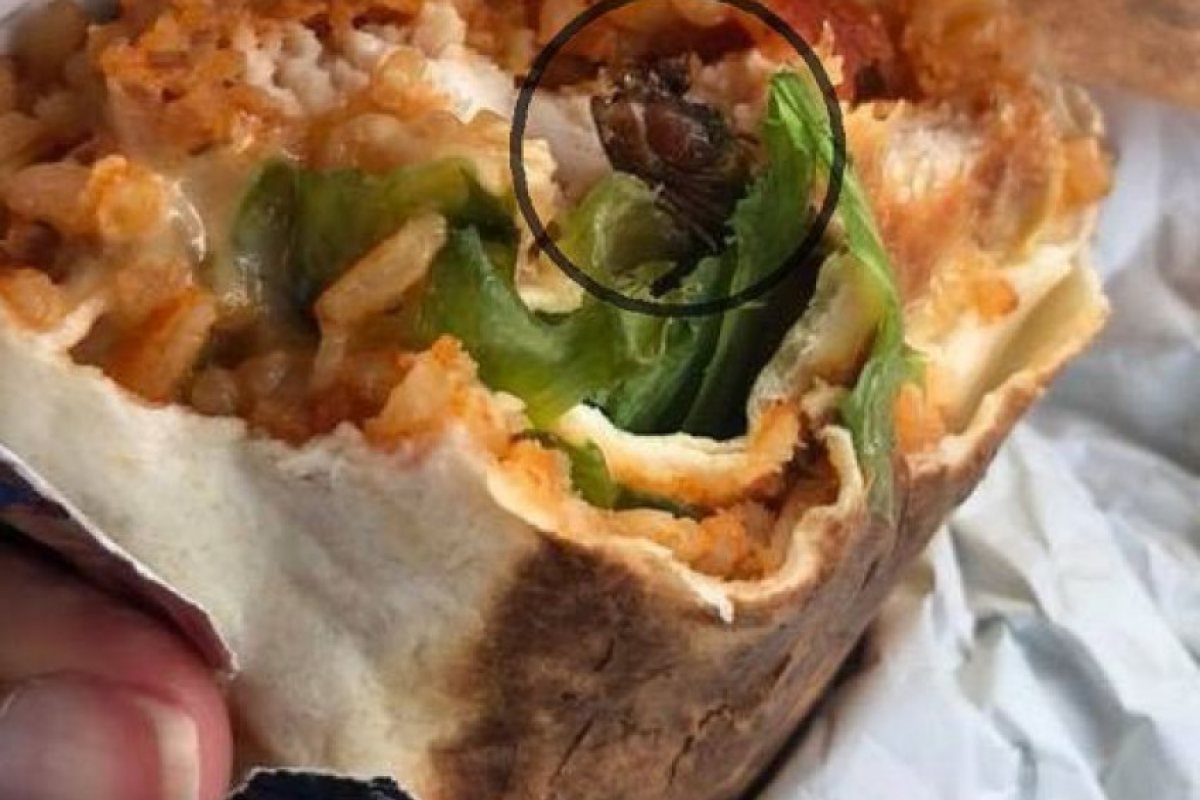 Отврат! Хлебарка в сандвич на KFC!