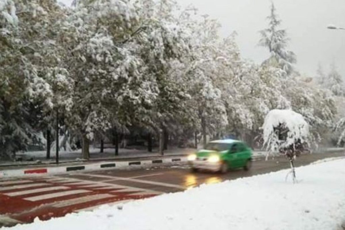 Сняг в Африка, в Мароко натрупало 30 см