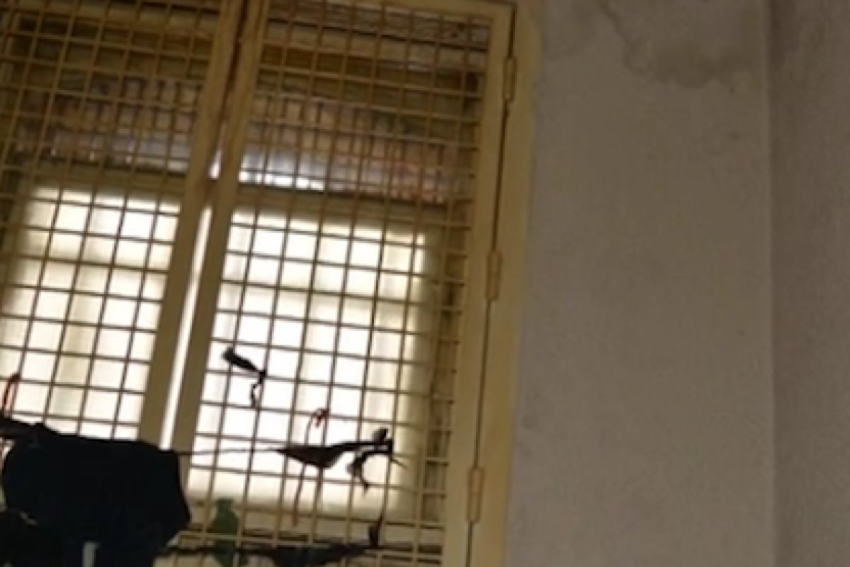 Съкилийничка на Иванчева разказва за ужаса, в които са живеели задържаните