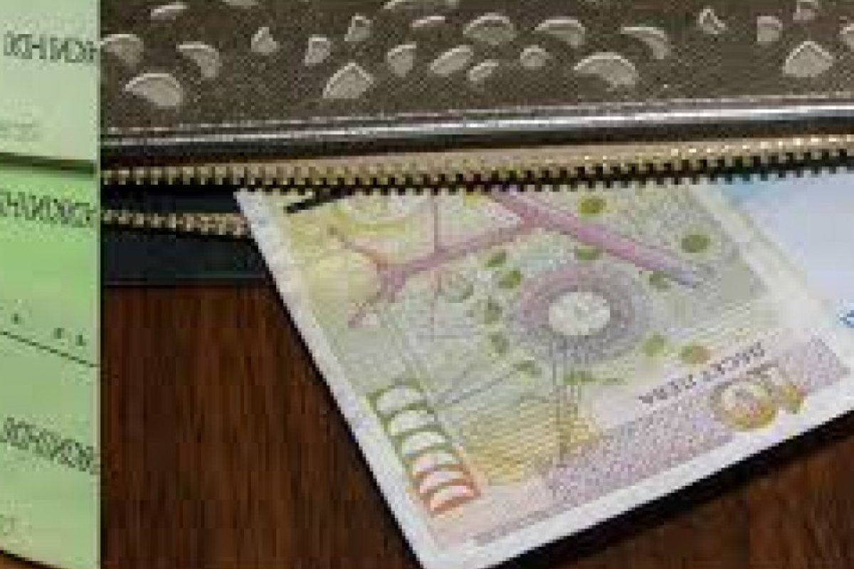Полезно за всички с бонови книжки! Къде са вложени? Колко струват?  3