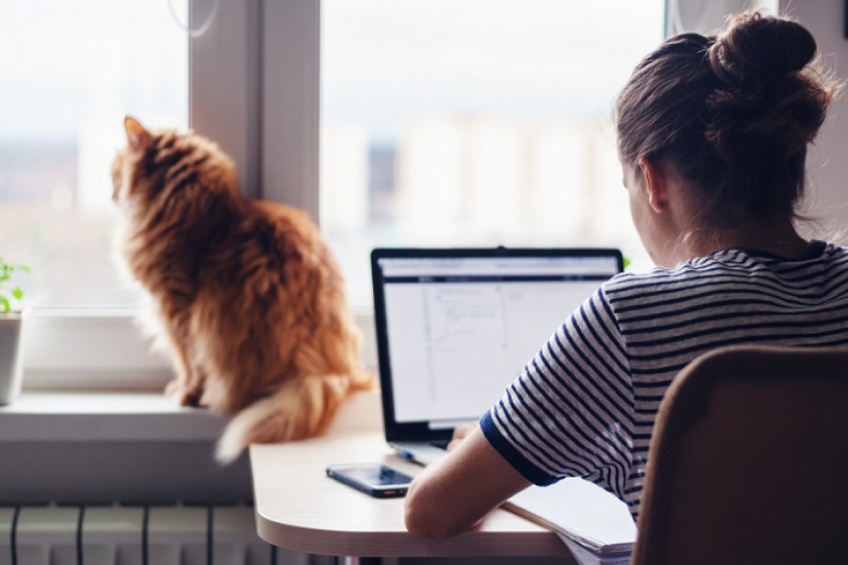 Професии, които можем да работим от вкъщи