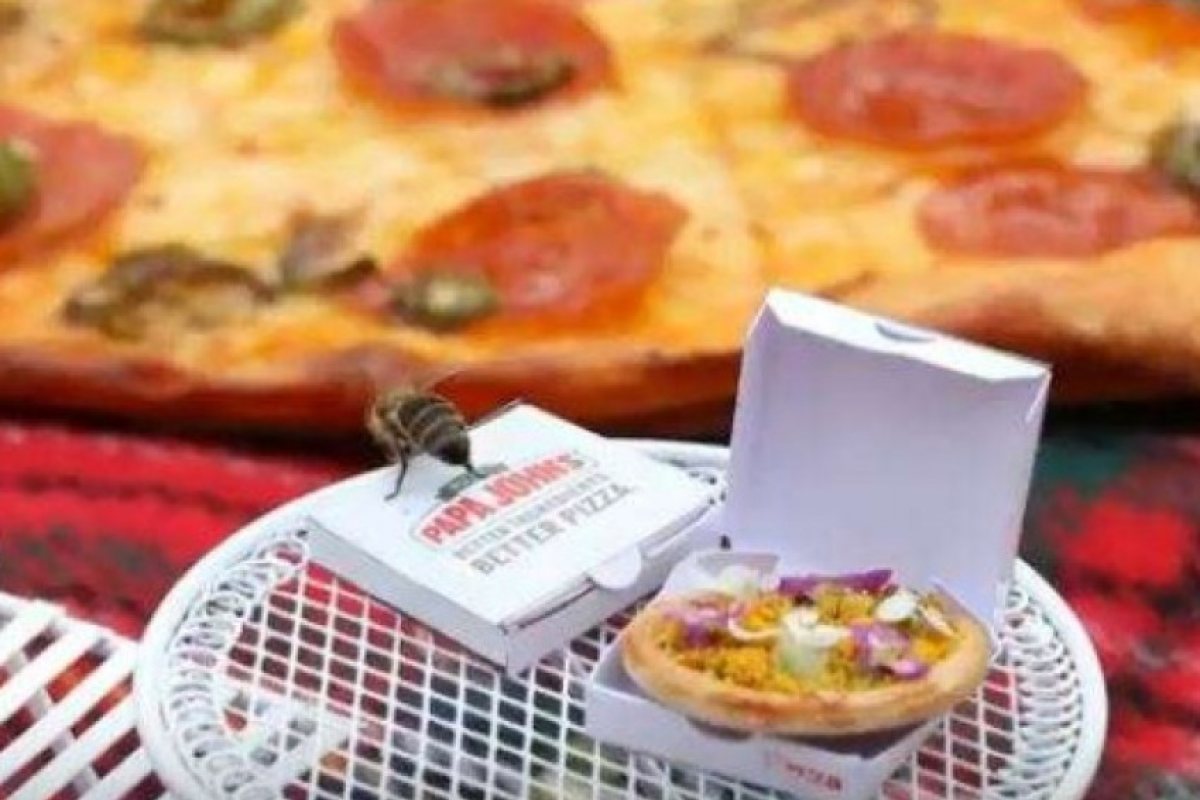 Пуснаха пици за пчели в Англия