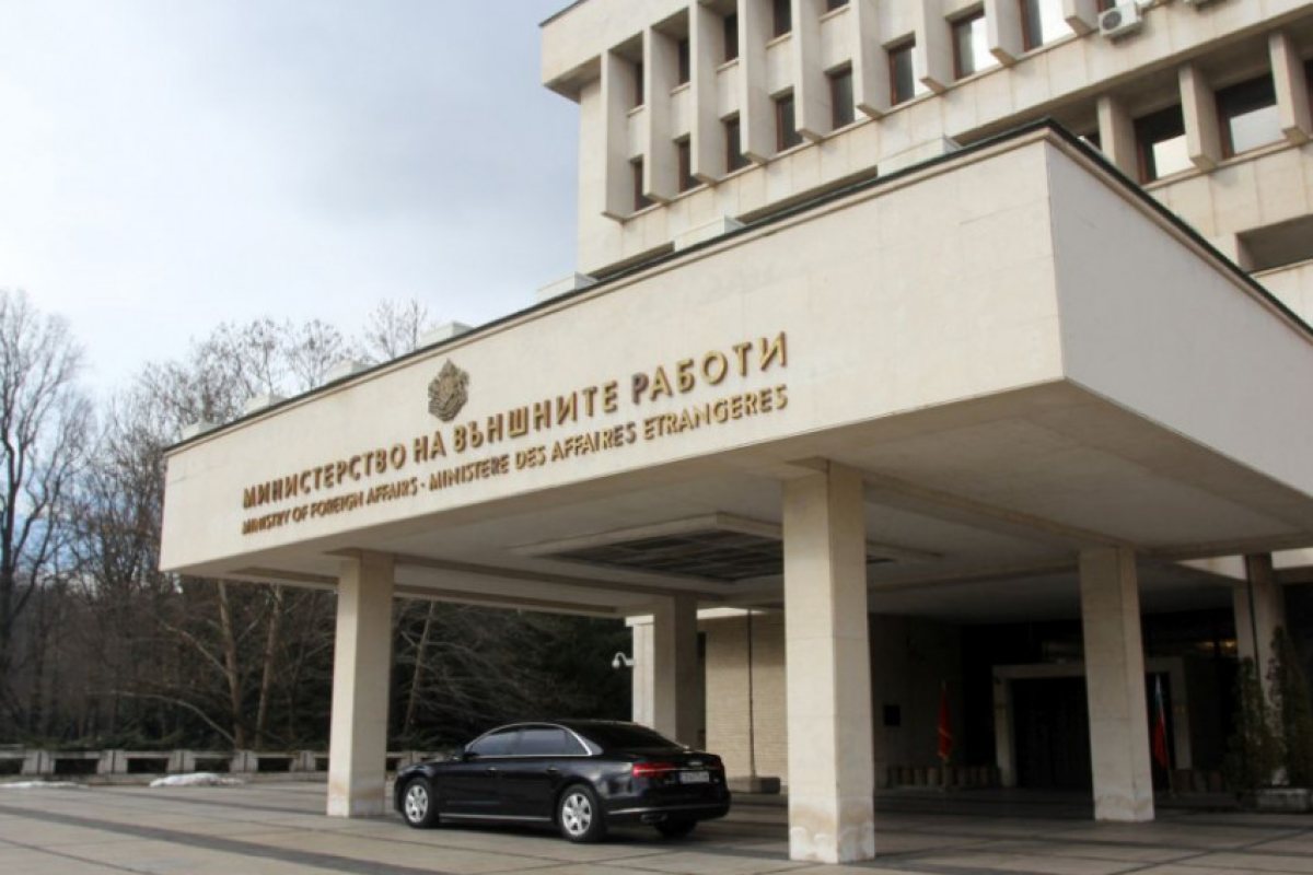 Осиновени в САЩ българчета са под закрила на властите