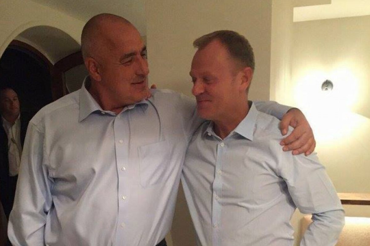 Звучен шамар от Доналд Туск! Отказва подкрепа за ГЕРБ