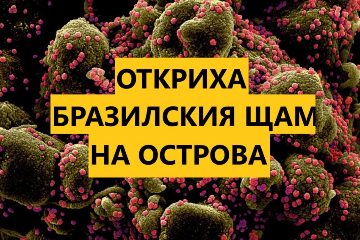 Бразилският вариант на Ковид-19, известен като P1, вече е в Обединеното кралство