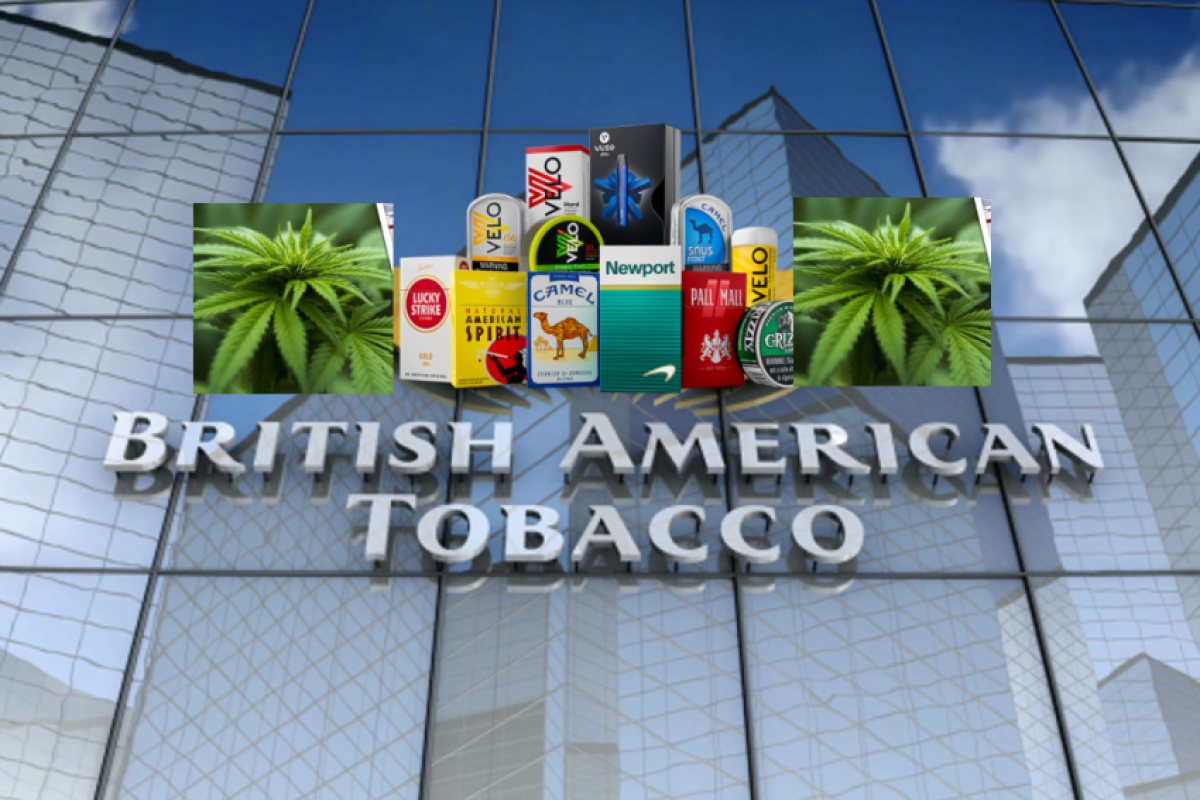 British American Tobacco: "Бъдещето ни е в марихуаната"