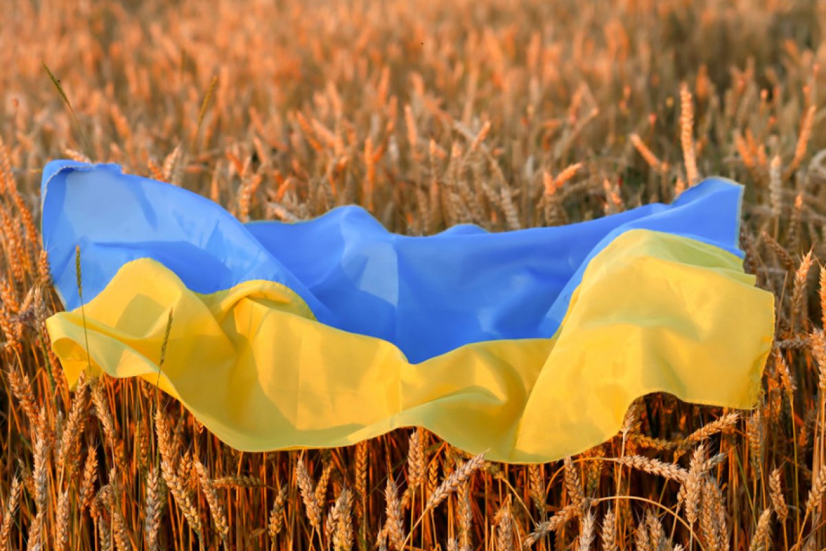 Европа ще загуби милиони тонове зърно заради войната в Украйна и сушата