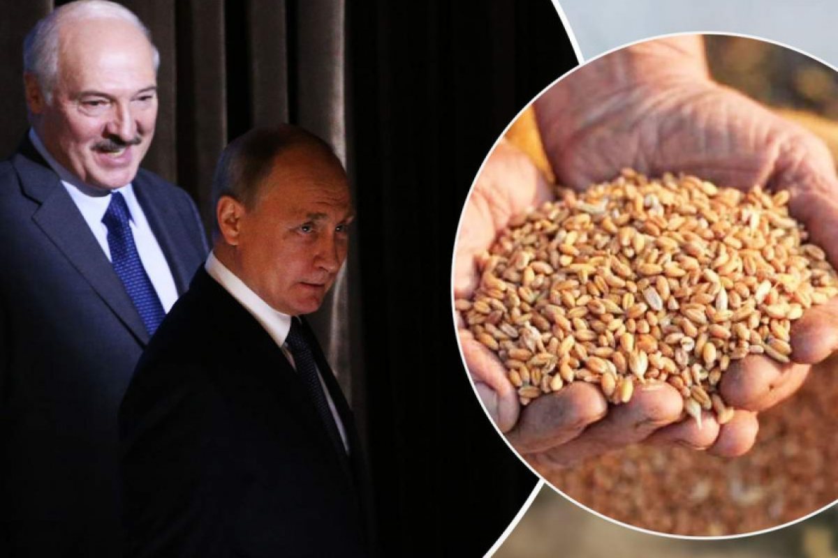 Ройтерс: Путин ще прави Русия най-големият производител на зърно в света