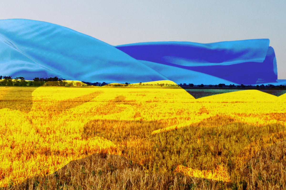 Русия официално обяви, че започва транспорта и продажбата на украинско зърно от завладените територии, които тя нарича освободени