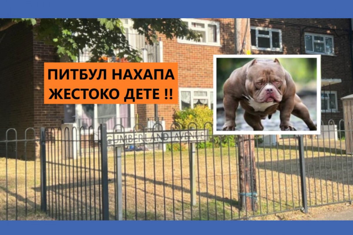 Англия: Дете е транспортирано с хеликоптер до болница в Лондон, след като е било жестоко нахапано от куче в Кентърбъри.