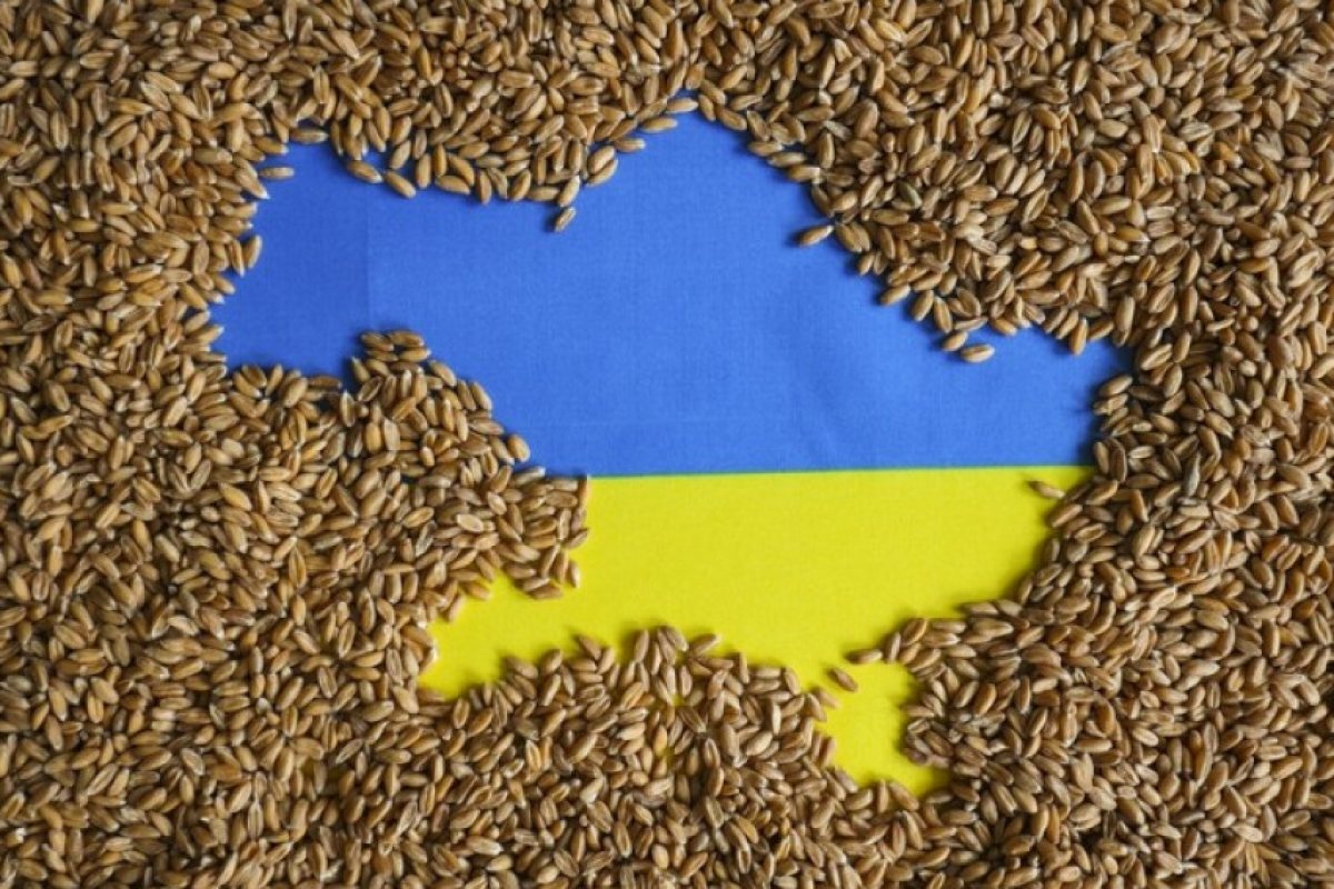 ООН също ще вземе участие в украинско-руските преговори в Турция за разблокиране на пристанищата