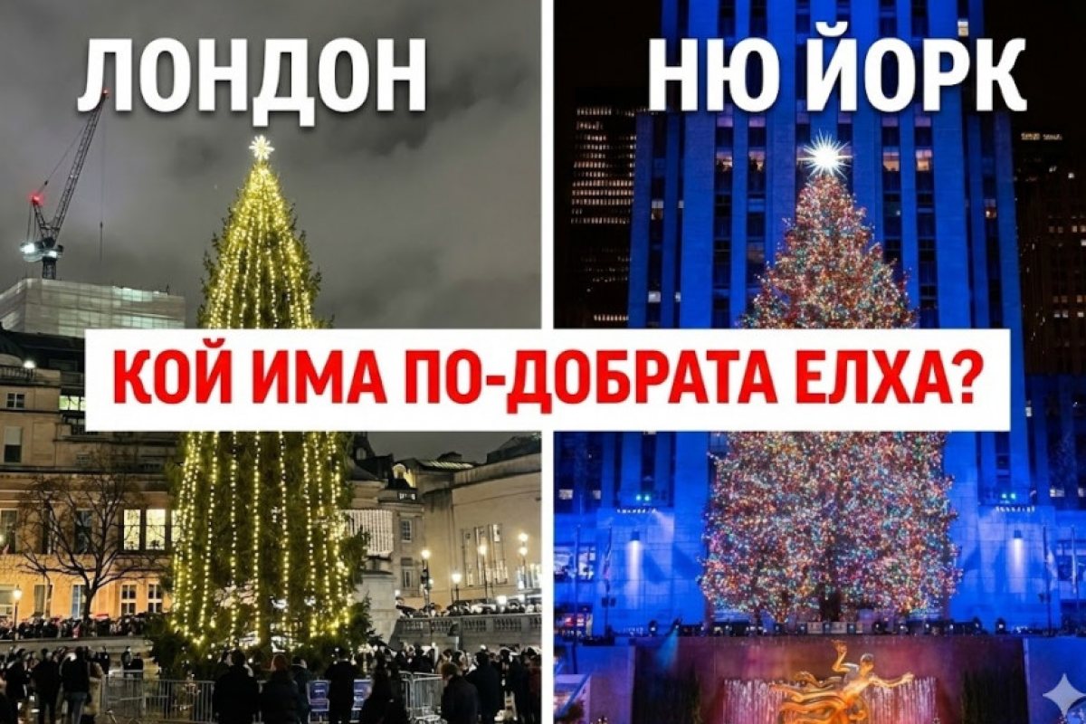 Традиция и сарказъм: Елхата на Трафалгар Скуеър пристигна и раздели мненията на лондончани