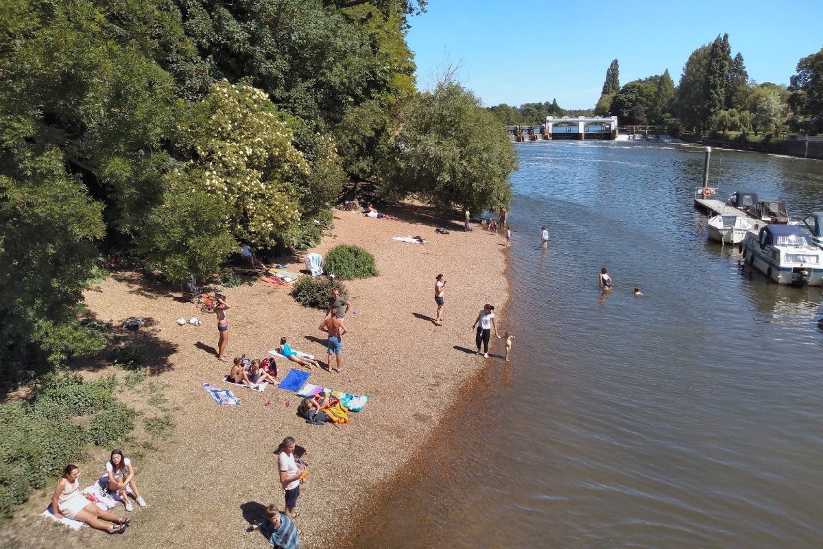 Токсични водорасли затвориха първия плаж на Темза в Лондон