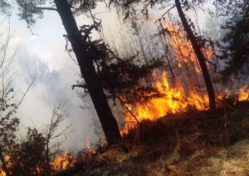 Пожарникари и военни се борят с голям пожар край Златоград
