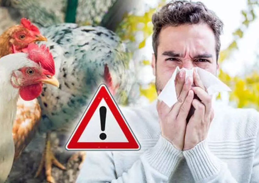 Световната здравна организация: Има опасност от разпространение на птичи грип сред хората