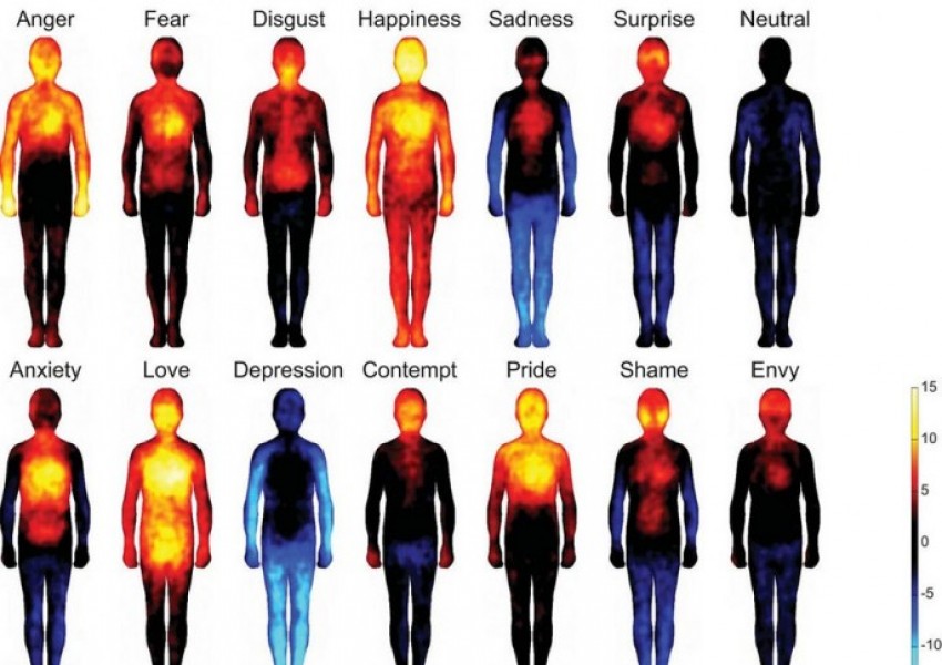 Какво се случва с тялото ни, когато сме щастливи (СНИМКА)