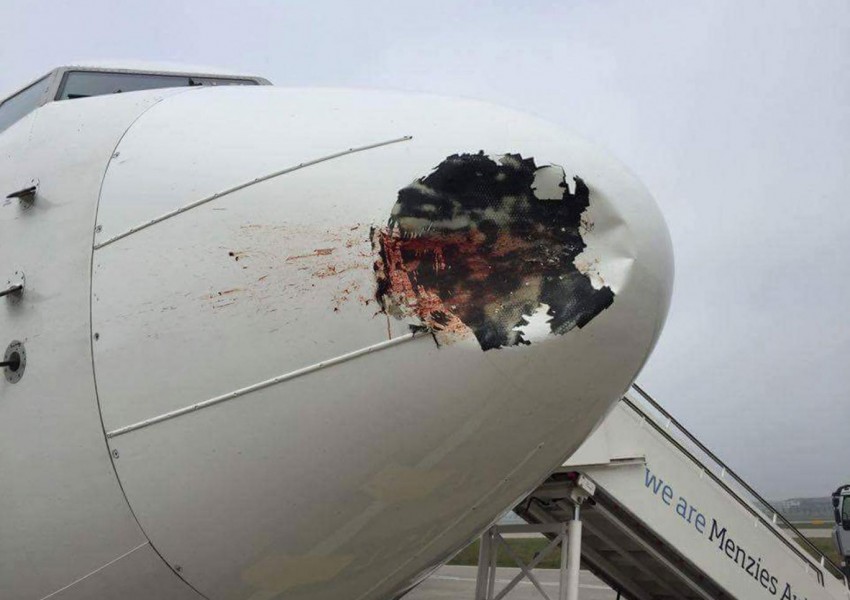 Няма да повярвате какво е причинило това на самолета (СНИМКИ)