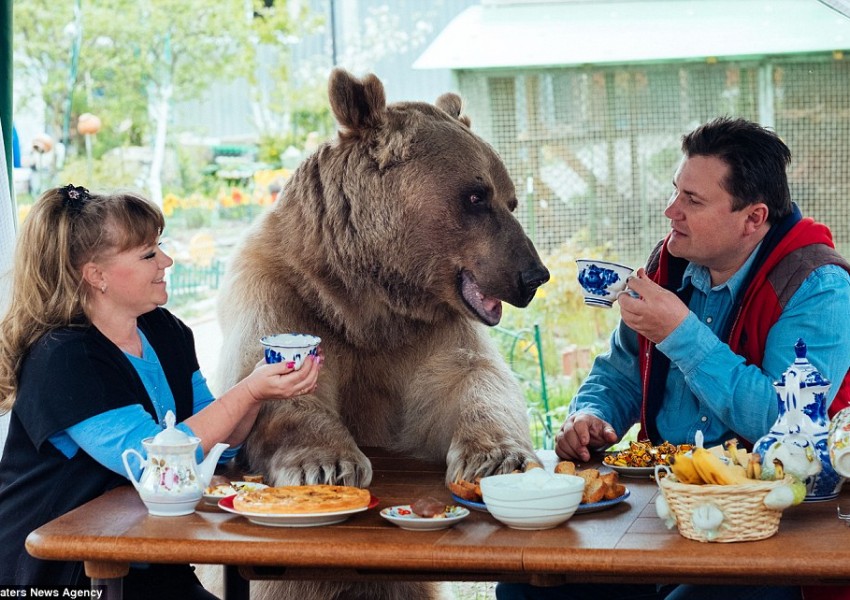Семейство от Русия живее със 136-килограмова мечка (СНИМКИ)