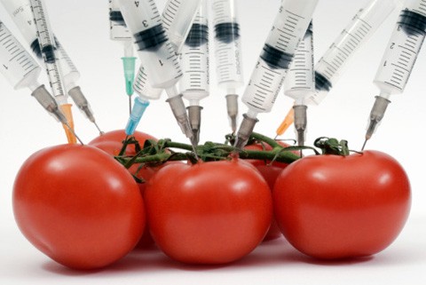 Няма да решаваме сами за вноса на ГМО