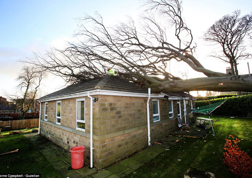 Ураганни ветрове застигнаха Острова, хиляди домакинства са без ток
