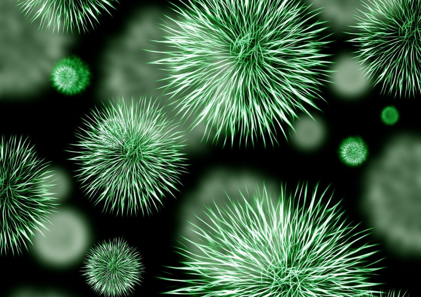 Близо 13 000 мутации на коронавируса откриха учени!