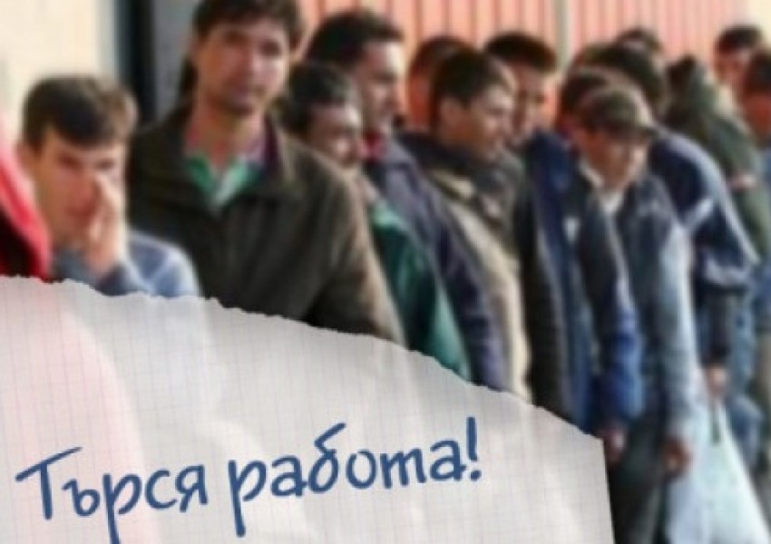 Ето коя е най-търсената професия в България