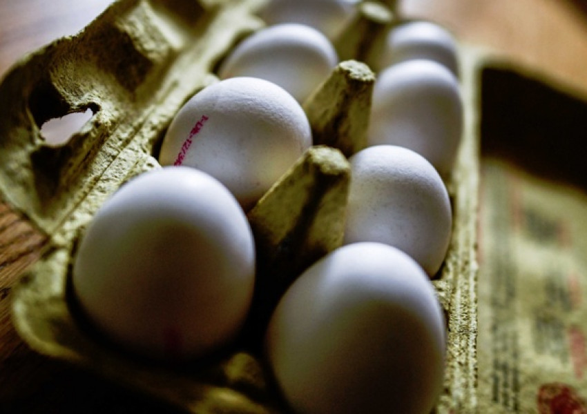 Изтеглят милиони яйца с пестициди от магазини в европейски държави 