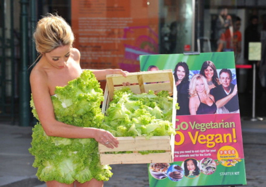 В Белгия осъдиха вегани, уморили бебето си от глад   