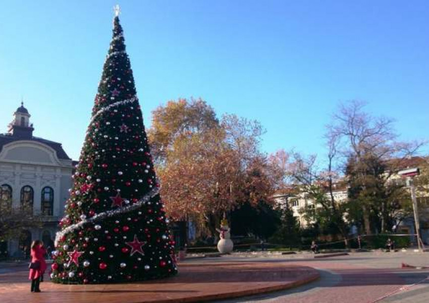 Пловдив отбелязва Коледа с разфасоването на 2 прасета на площада пред общината