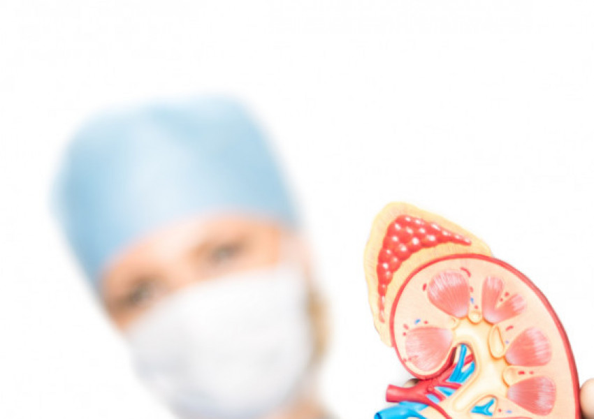 Мистериозна бъбречна болест поразява работници по целия свят