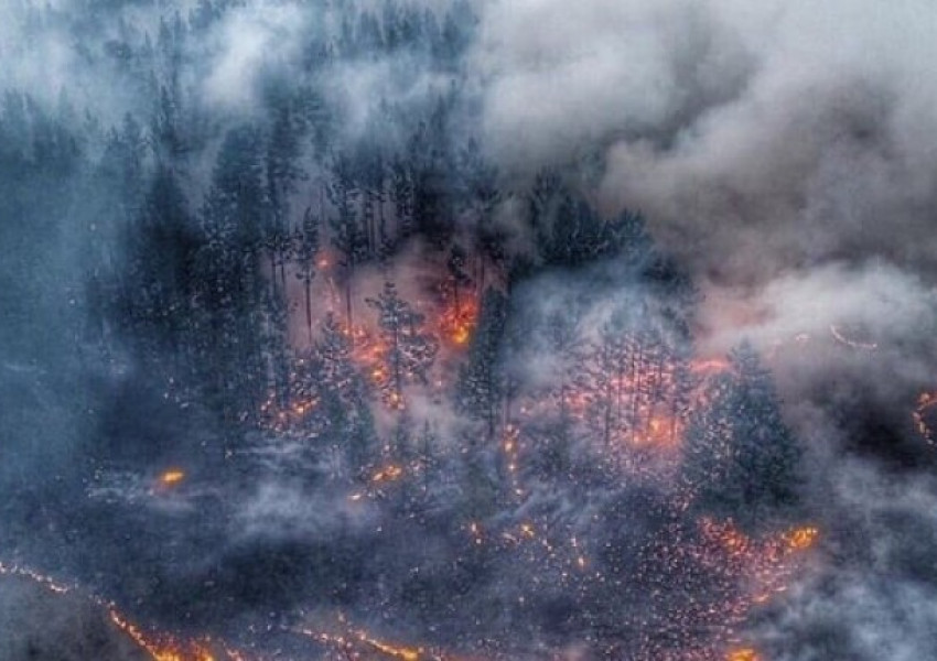 Пожарите в Сибир вече са върху 4,3 млн. хектара, 600 населени места се задъхват