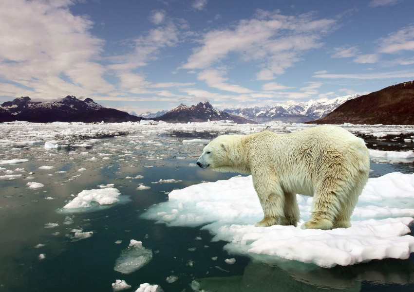 Учени: Глобалното затопляне ще възроди опасни болести от миналото