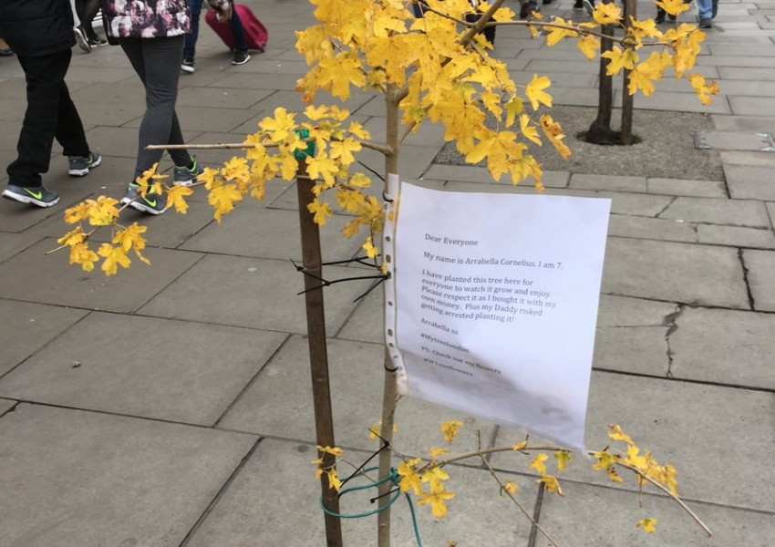 Баща и дъщеря посадиха дърво насред Oxford street