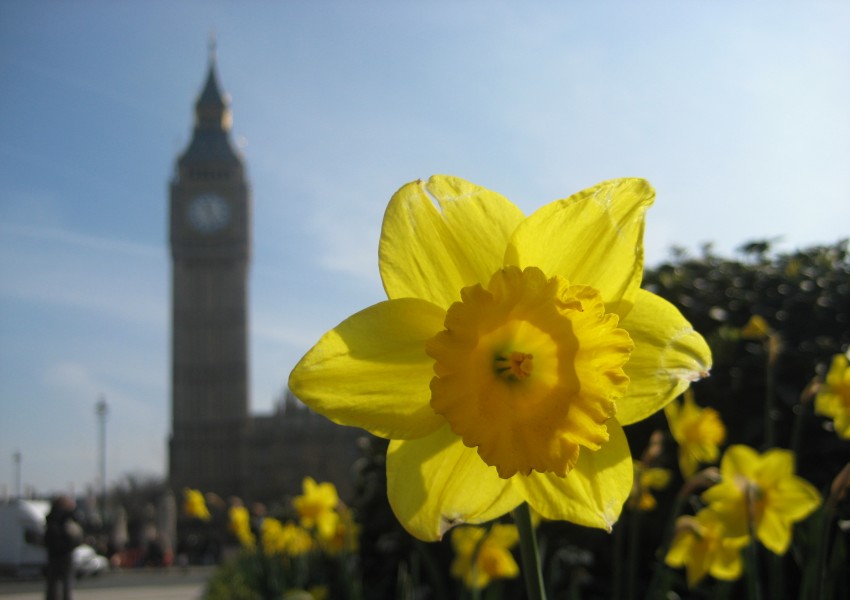 Лондон посреща по-топъл уикенд от Ибиса!