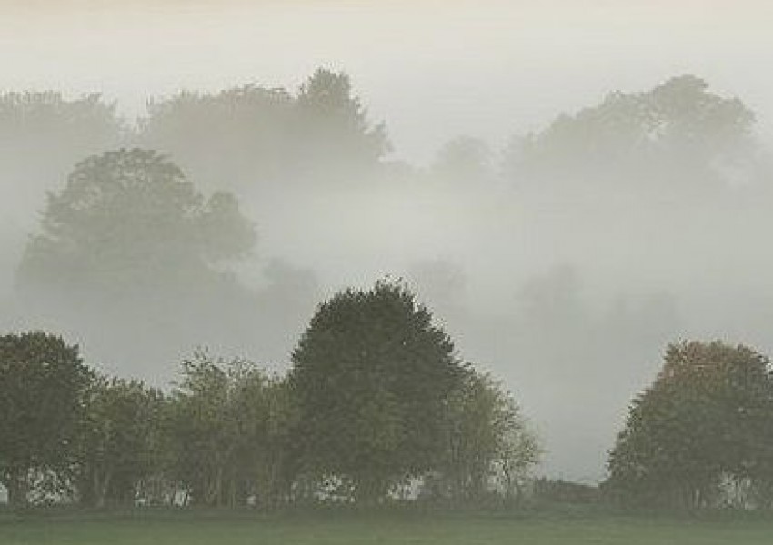 Метеорологичната служба предупреждава за опасни мъгли в Съсекс