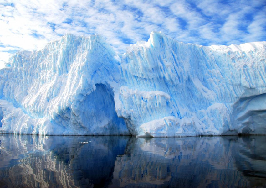 Случайно откриха "странни създания" под антарктическия лед