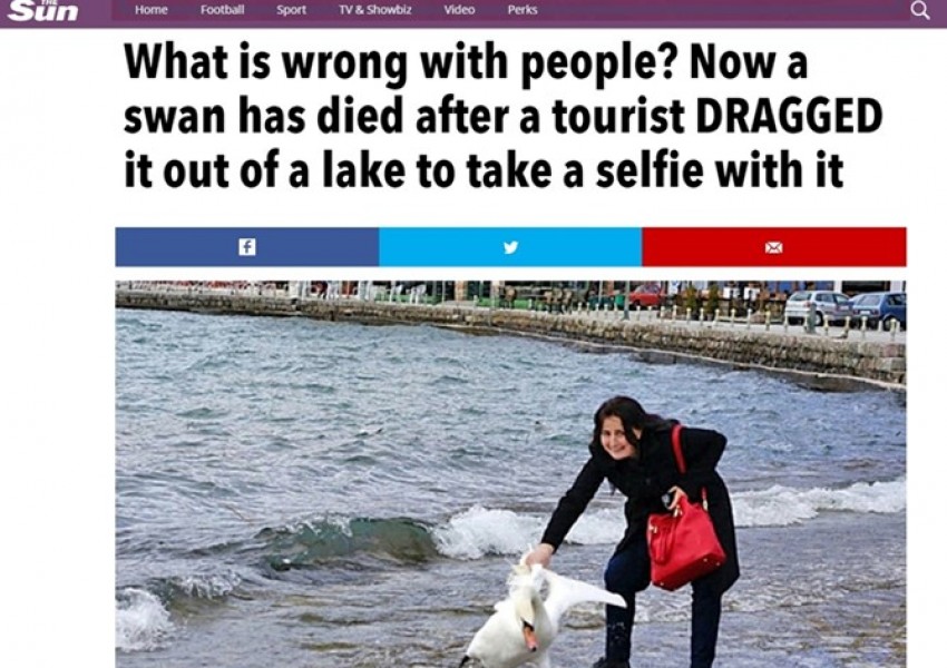 Британски медии възмутени от българката, убила лебед заради снимка в Охрид