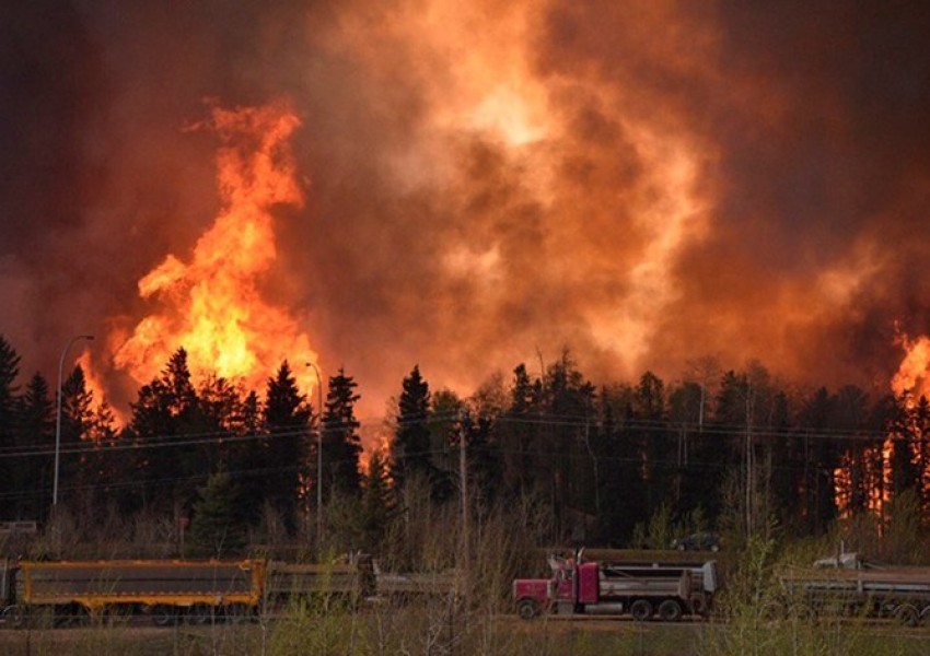 Евакуираха канадски град с 80 000 души заради пожар (ВИДЕО)