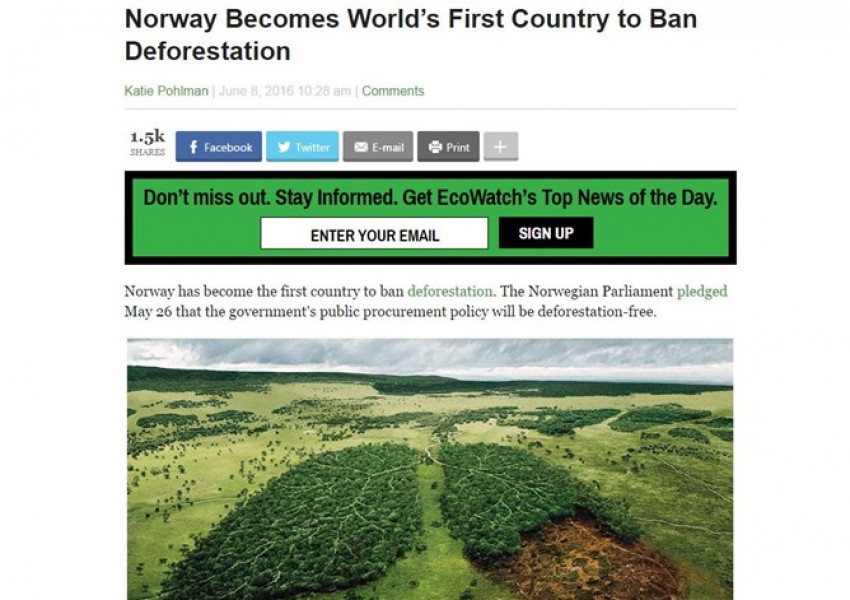 Норвегия забрани изсичането на дървета