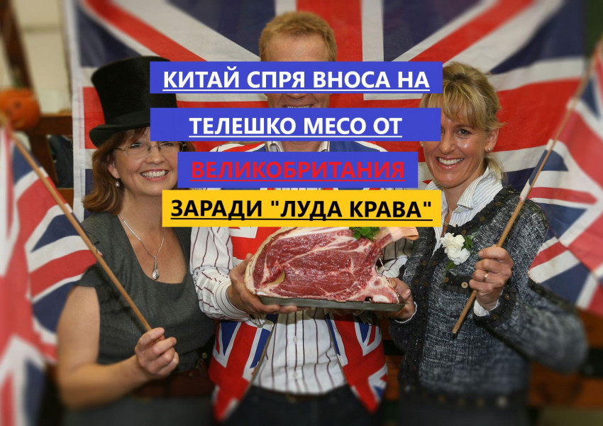 Китай забрани вноса на телешко месо от Великобритания заради болестта "луда крава"