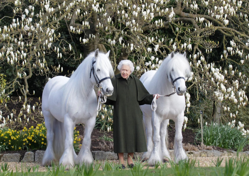 Макрон подари на кралицата расов кон и нарече Елизабет "златната нишка", която свързва Великобритания и Франция