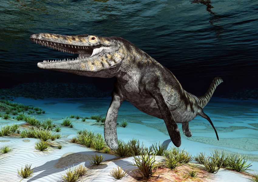 Откриха останките на древен морски звяр, който е бил голям колкото автобус