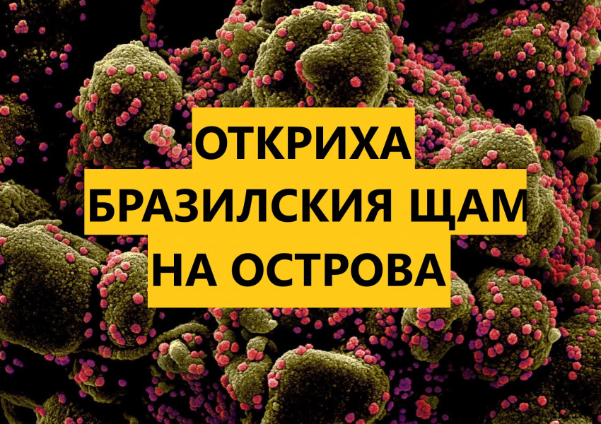 Бразилският вариант на Ковид-19, известен като P1, вече е в Обединеното кралство